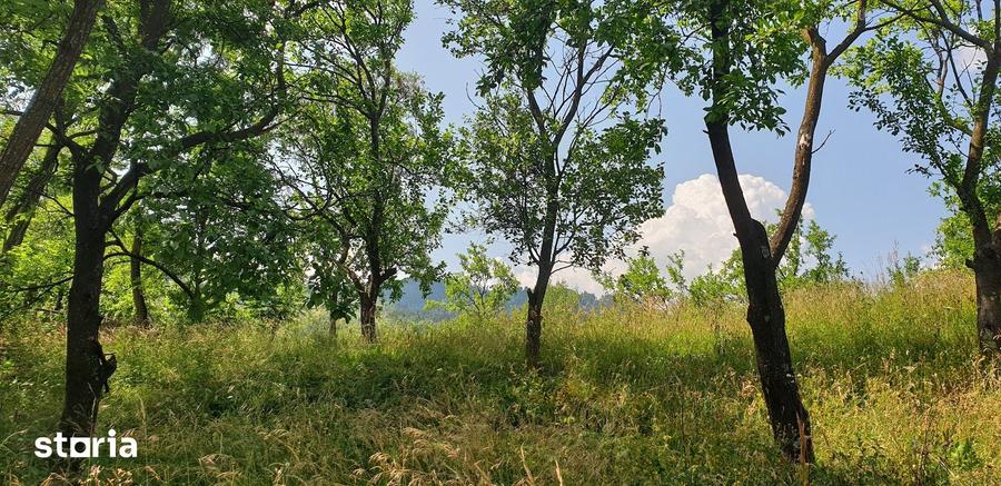 Teren de 3600 mp, în Șotrile