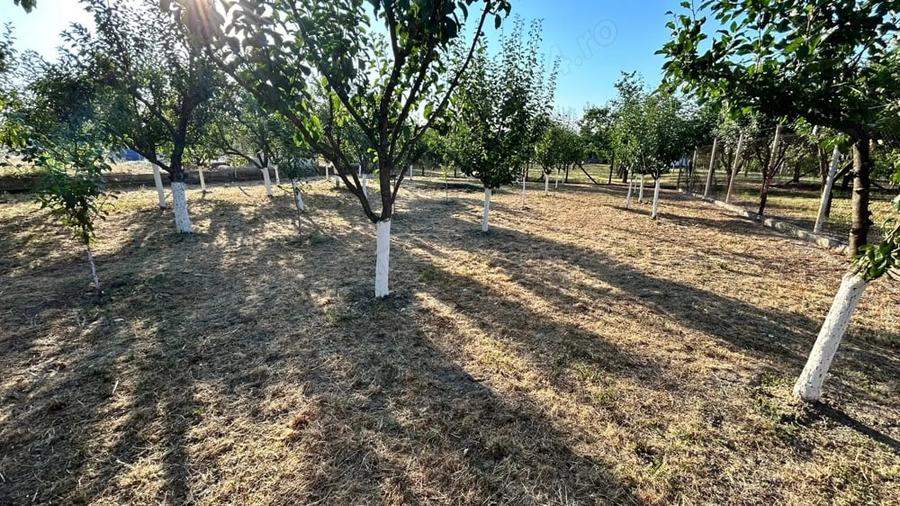 Casă cu 4 camere cu Teren 1450 Mp în Jebel