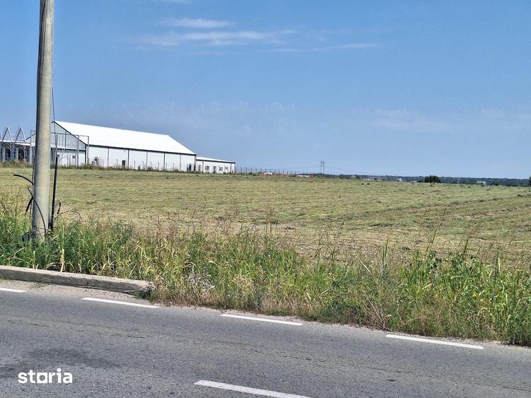 Teren de 23298 mp, în Ciorogârla