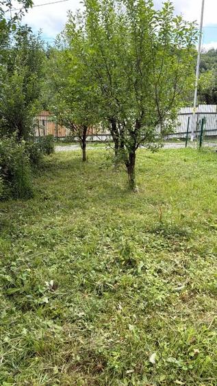Casă individuală cu 3 camere cu Canalizare în Gura Beliei