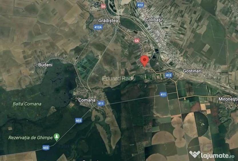 Comana, Fala?toaca - terenuri intravilane de vanzare 500mp, - Comana (Giurgiu)