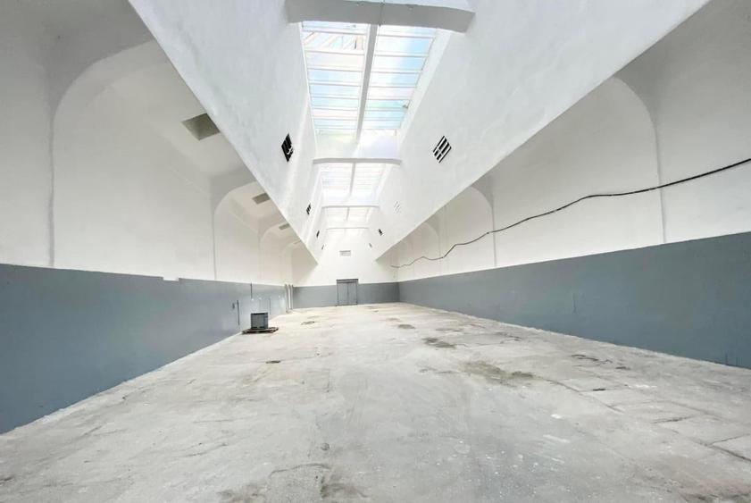 Spațiu industrial, de 120 mp, în Cisnădie