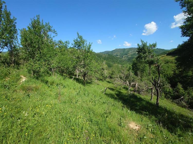 Casă individuală cu 3 camere cu Teren 34965 Mp în Blăjeni