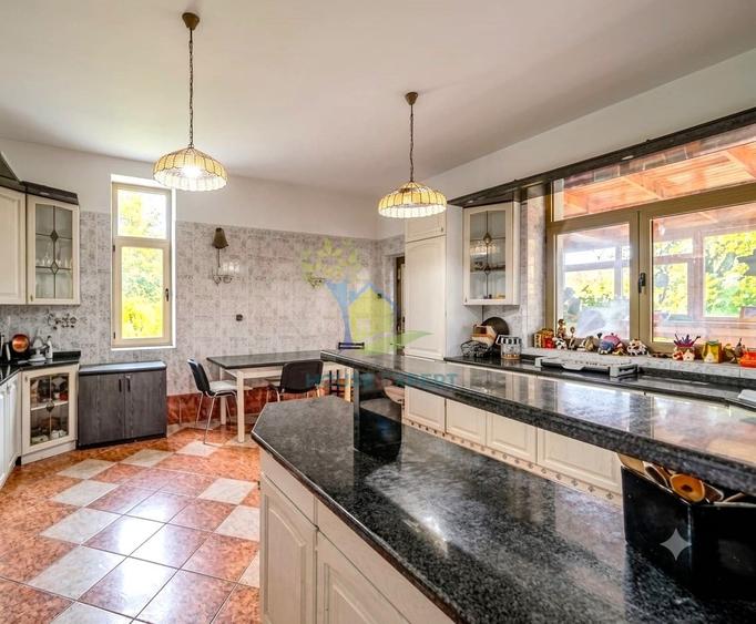 Casă individuală cu 10 camere cu Piscina în Snagov