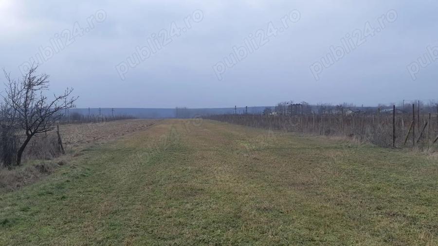 Teren în Stolnici