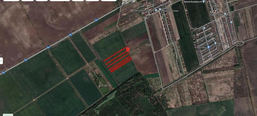 Teren agricol extravilan de 49978 mp, în Tamași