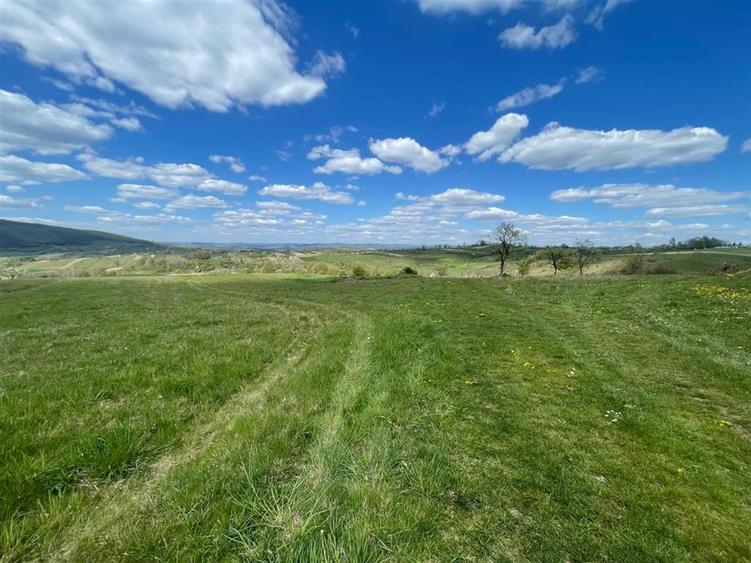 TEREN | BALNACA | 6301MP | BIHOR - 4
