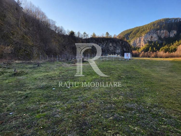 Teren Construcții intravilan de 684 mp, în Bălnaca