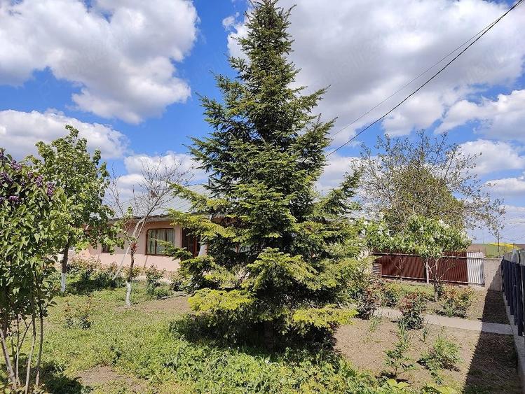 Casă cu 4 camere cu Teren 1280 Mp în Pechea