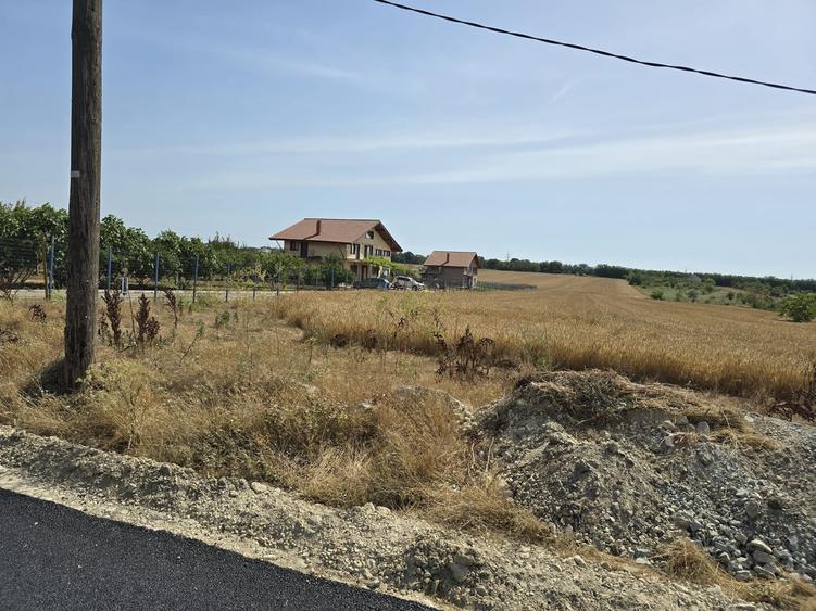 Teren Construcții intravilan de 8000 mp, în Lazu