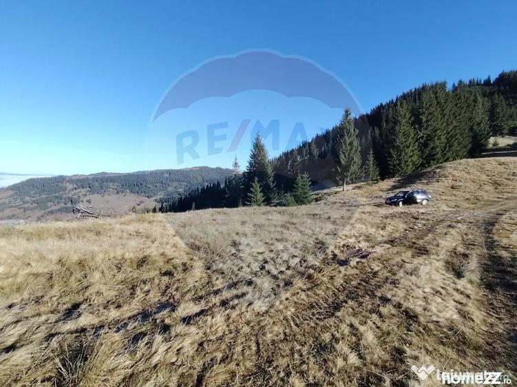 Teren de 31461 mp, în Panaci
