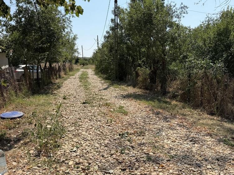 Teren de 2461 mp, în Sârbeni
