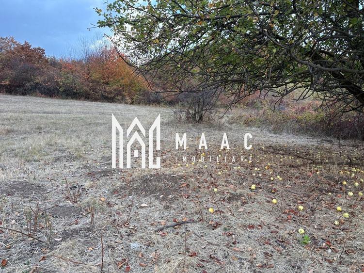 Teren agricol extravilan de 5000 mp, în Poplaca