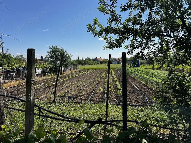 Casă cu 4 camere cu Teren 1190 Mp în Biharia
