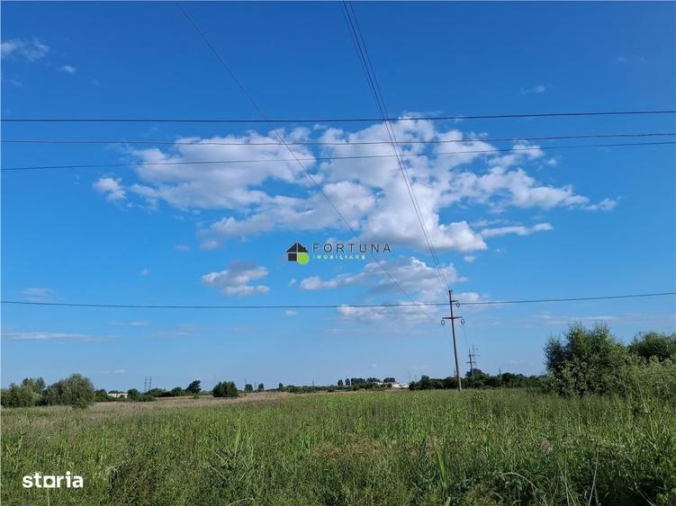 Spațiu comercial, în Boldești