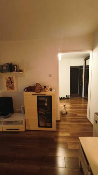 Caut colega de apartament - 1