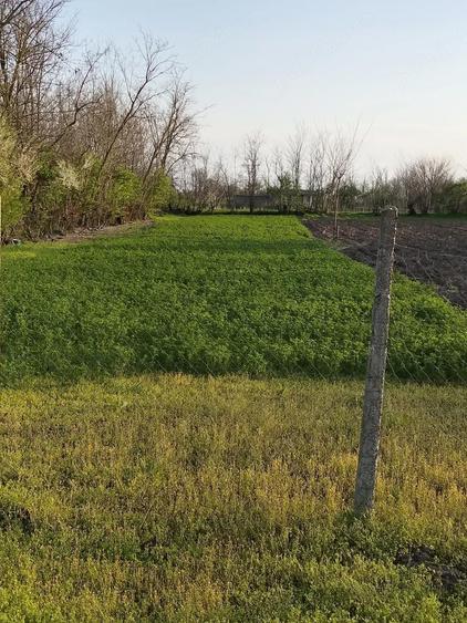 Teren de 2500 mp, în Scorțaru Vechi