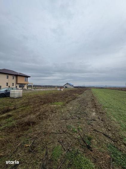 Teren Mocira 50 ari | Plan drept | Utilitati aproape | Zona in dezvolt - 3