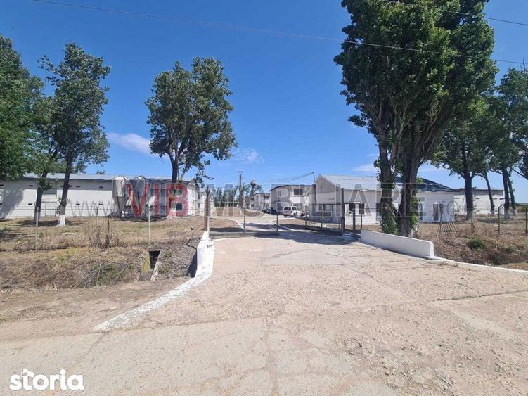 Teren de 35000 mp, în Funcționarilor