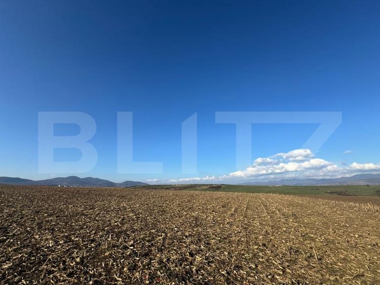 Teren agricol extravilan de 5700 mp, în Cristur