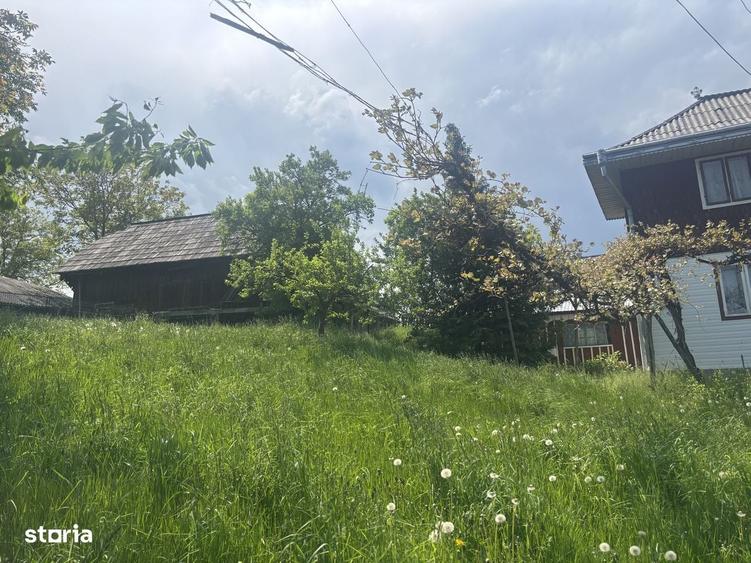 Casa de vanzare cu doua curti, livada si anexe 2600 mp - 6