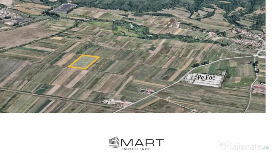 Teren extravilan de vanzare 5000 mp, ?elimbar (Mohu) - Selimbar (Sibiu) - 3