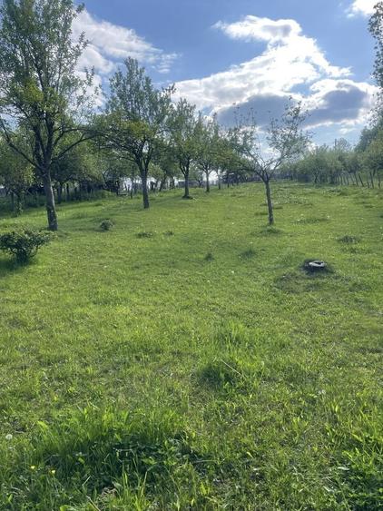 Teren de 3346 mp, în Valea Iașului