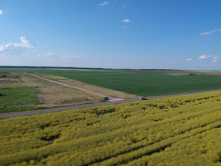 Teren Construcții intravilan de 4750 mp, în Frumușani