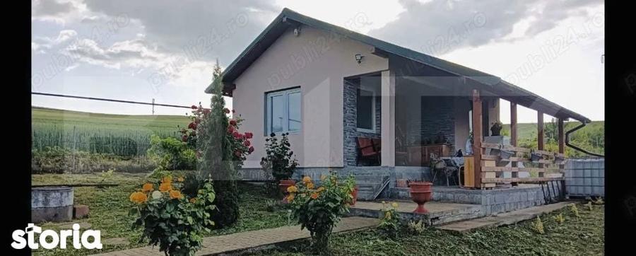 Proprietate deosebita cu livada matura si cabana zona Ludus - 1