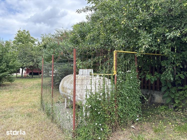 Casă cu 4 camere cu Teren 5000 Mp în Grădinari