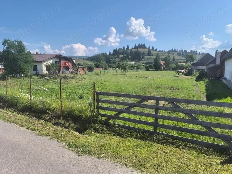Teren de 2600 mp, în Moglănești