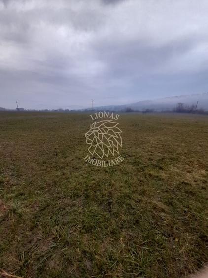 Teren agricol extravilan de 1698 mp, în Dumitrița