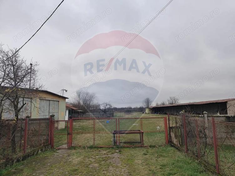 Casă cu 5 camere cu Teren 7531 Mp în Sacu