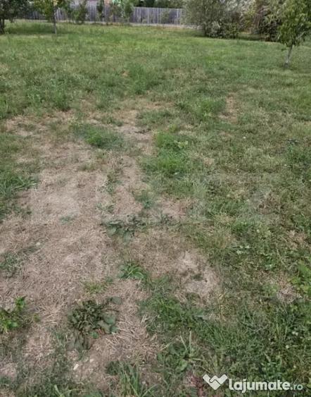 Teren intravilan 1.178 mp, zona Trivale - Pitesti (Arges) - 2