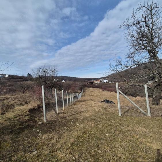 Teren de vanzare Valea Rusului - 4