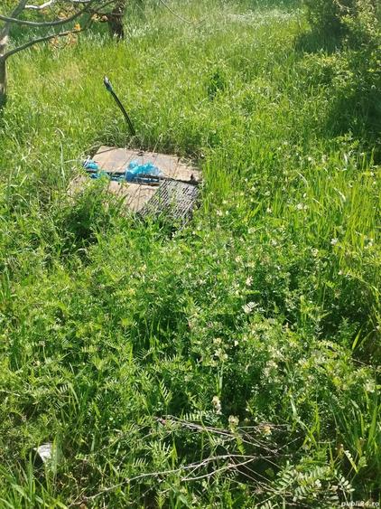 Teren de 500 mp, în Paleu