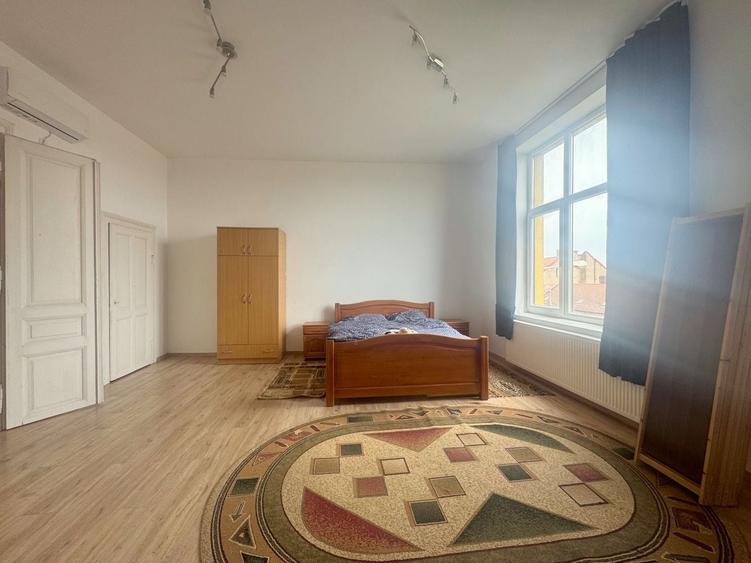 Apartament de inchiriat pet friendly-Piata Iuliu Maniu Timisoara - 6