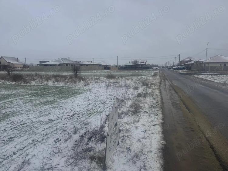 Teren de 5000 mp, în Șag