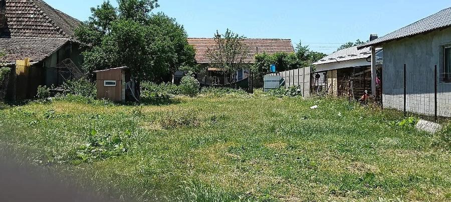 Teren de 1000 mp, în Carani