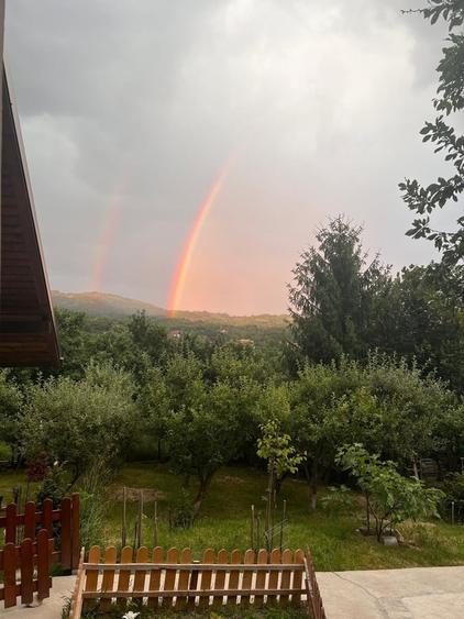 Casă cu 3 camere cu Teren 2500 Mp în Pruni