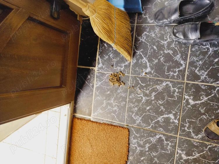 Casă cu 6 camere cu Teren 2900 Mp în Gurbediu