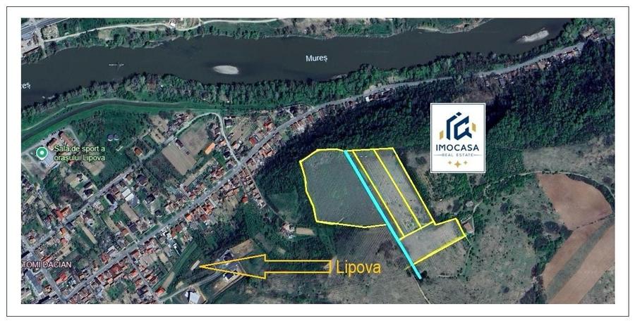 Teren agricol extravilan de 81400 mp, în Nord-Est