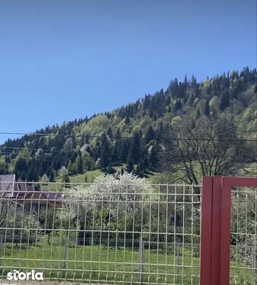 Teren de 1000 mp, în Ceahlău