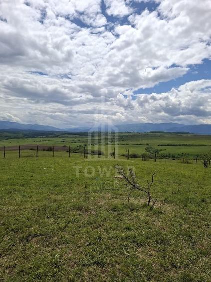 Teren agricol extravilan de 11500 mp, în Daia