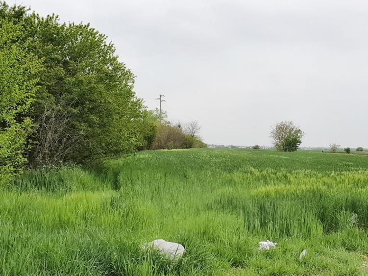 Teren agricol extravilan de 2672 mp, în Vidra
