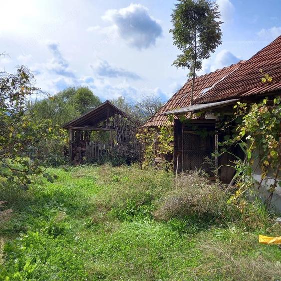 Casă cu Teren 1576 Mp în Central