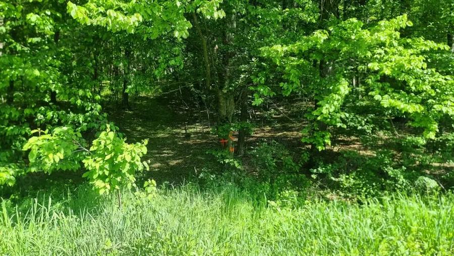 Teren de 3600 mp, în Uiasca