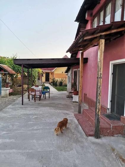 Casă cu 1 camere cu Teren 1500 Mp în Vlăduleni