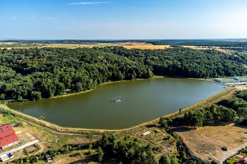 Teren agricol extravilan de 125077 mp, în Herneacova