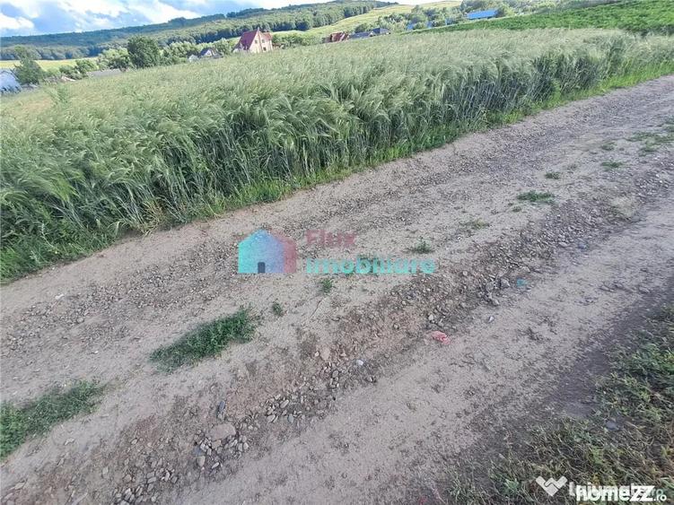 Teren de 4500 mp, în Reuseni